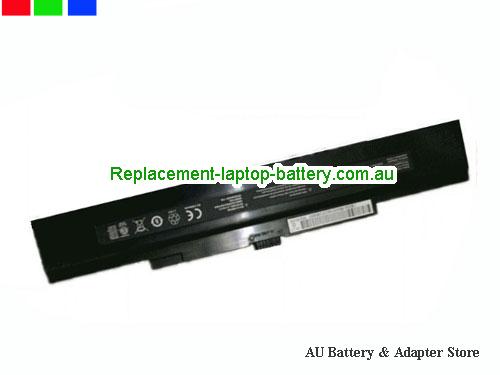 HASEE 3lCR1966-2 Battery 4400mAh, 47.52Wh  10.8V Black Li-ion