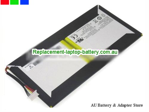 OTHER EG20-1S10400-B1C1 Battery 10400mAh, 39.52Wh  3.8V Sliver Li-Polymer
