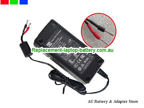 Genuine CWT  48V 1.25A Laptop AC Adapter CWT48V1.25A60W-2line